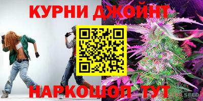 гидра Гатчина