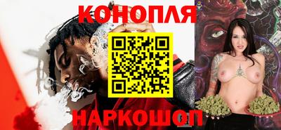 гидра Гатчина